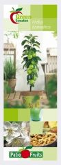 Säulen-Apfel Green Sensation 1 Stück Malus domestica T17x17