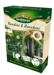 Anzucht-Set Rondini & Zucchini in umweltfreundl. Kokossubstrat